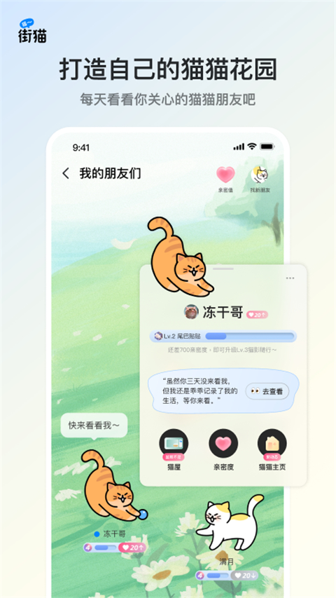 哈啰街猫app