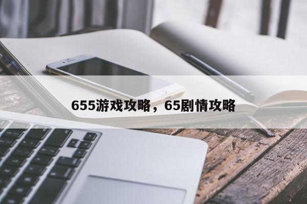 655游戏攻略，65剧情攻略