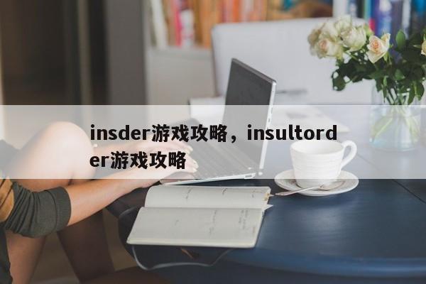 insder游戏攻略，insultorder游戏攻略