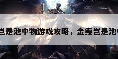 金l岂是池中物游戏攻略，金鳆岂是池中物