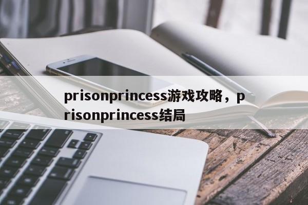 prisonprincess游戏攻略，prisonprincess结局