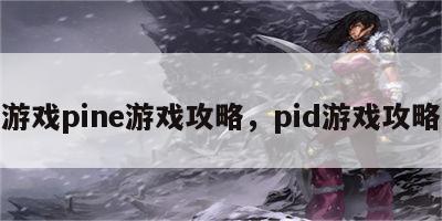 游戏pine游戏攻略，pid游戏攻略