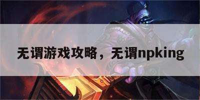 无谓游戏攻略，无谓npking