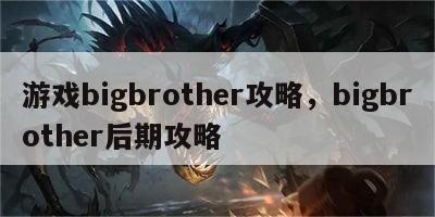 游戏bigbrother攻略，bigbrother后期攻略