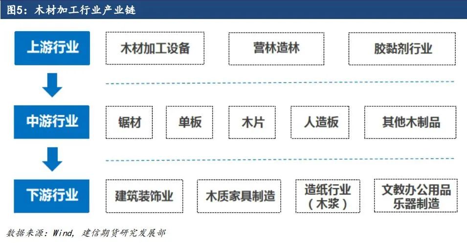 原木期货上市系列专题一：原木基础知识及产业链格局