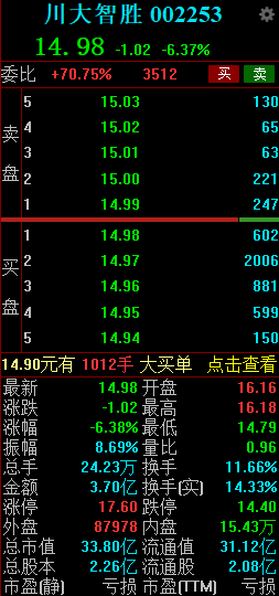 川大智胜：2024年预计亏损4900万元-6300万元 公司股票可能被实施退市风险警示