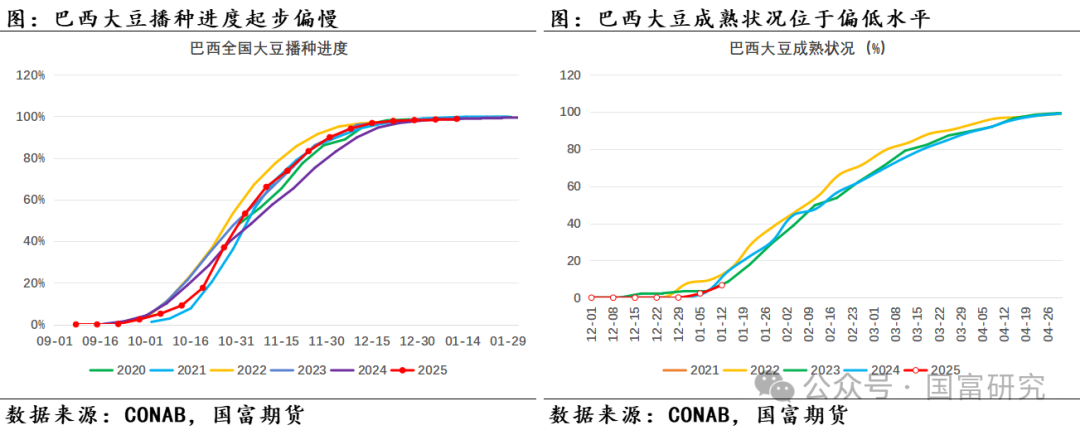 【USDA】1月报告：美豆单产下调超预期，南美大豆丰产压制美豆价格上行